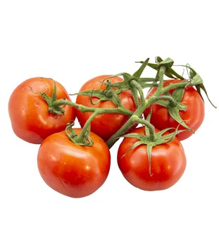 Kvist tomat